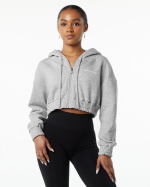 Alphalete Classicital Full-Zip Crop Jassen Dames Grijs | 84BKOFELR