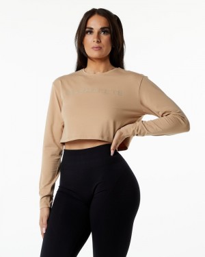 Alphalete Core LS Crop T-shirts Dames Grijs Bruin | 53FETNKRZ