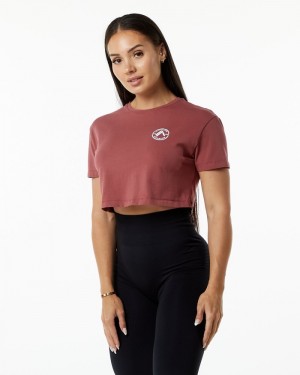 Alphalete Dynasty Crop Overhemd Dames Bordeaux | 40TUKLIGW