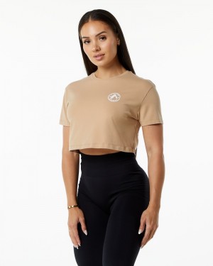 Alphalete Dynasty Crop Overhemd Dames Grijs Bruin | 29SOGDPNQ