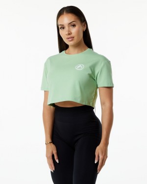 Alphalete Dynasty Crop Overhemd Dames Groen | 35QRFSLVO