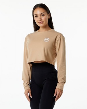 Alphalete Dynasty LS Crop T-shirts Dames Grijs Bruin | 69AOGBHWL