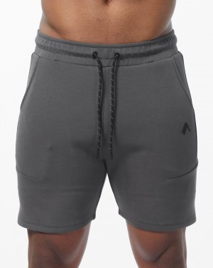 Alphalete ELMTS Atletische 6" Korte Broek Heren Grijs | 60HXAQWKU