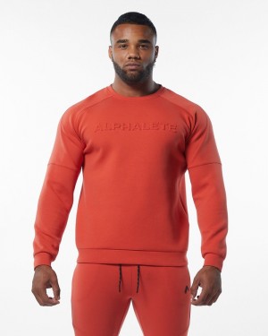 Alphalete ELMTS Crewneck Sweatshirt Heren Oranje | 27NMTDQOF