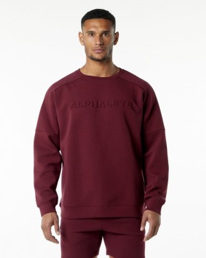 Alphalete ELMTS Crewneck Sweatshirt Heren Bordeaux | 95AUOYLBJ