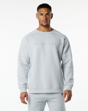 Alphalete ELMTS Crewneck Sweatshirt Heren Grijs | 42ADTMIPS