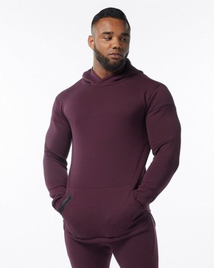 Alphalete ELMTS Fitted Hoodie Heren Bordeaux | 61DLYQTOF