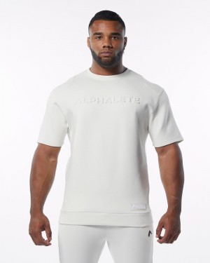 Alphalete ELMTS Half Sleeve Pullover Sweatshirt Heren Room | 75ZIWYSAF