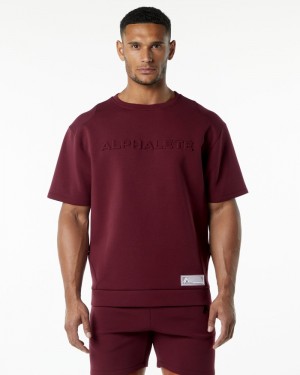 Alphalete ELMTS Half Sleeve Pullover Sweatshirt Heren Bordeaux | 93ICZBUXH