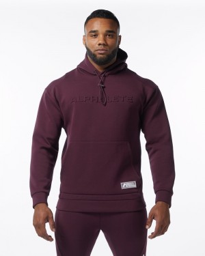 Alphalete ELMTS Hoodie Heren Bordeaux | 04PDJNXRB