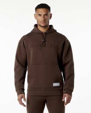 Alphalete ELMTS Hoodie Heren Bruin | 40GUOBEIK