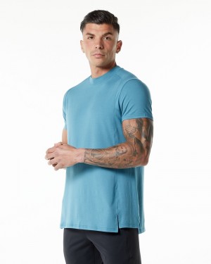 Alphalete Evo Overhemd Heren Blauw | 37KEFWYHA