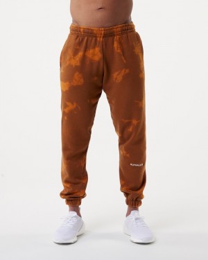 Alphalete HCTS Joggingbroeken Heren Oranje | 39EGTLHBC