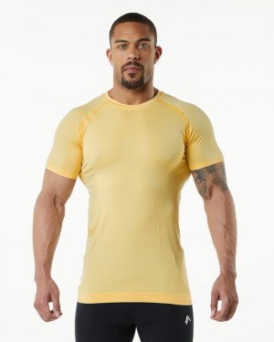 Alphalete Hero Overhemd Heren Oranje | 38DCJHMVO