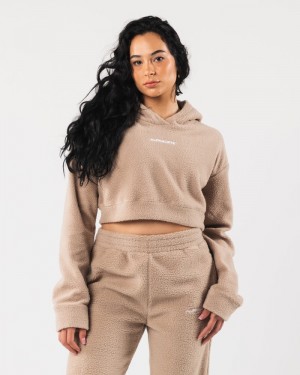 Alphalete King Crop Hoodie Dames Beige | 95JKRGVPM