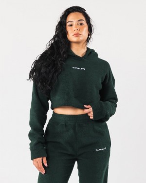 Alphalete King Crop Hoodie Dames Groen | 83ICBGFDQ