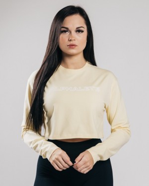 Alphalete Outlined Long Sleeve Crop T-shirts Dames Lichtblauw | 30VTNMILC