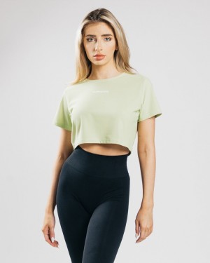 Alphalete Signature Mesh Crop Overhemd Dames Lichtgroen | 48ASXLVBW