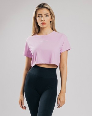 Alphalete Signature Mesh Crop Overhemd Dames Roze | 68IRPOKXN