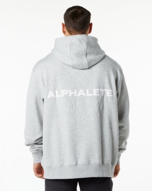 Alphalete Unity Hoodie Heren Grijs | 52CXAZVIK