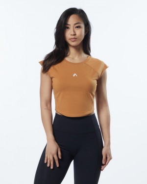 Alphalete Velocity Crop Overhemd Dames Bruin | 39IYZXNGK