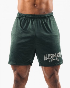 Alphalete Wolf Head Mesh 6" Korte Broek Heren Groen | 91ZVTJFRQ