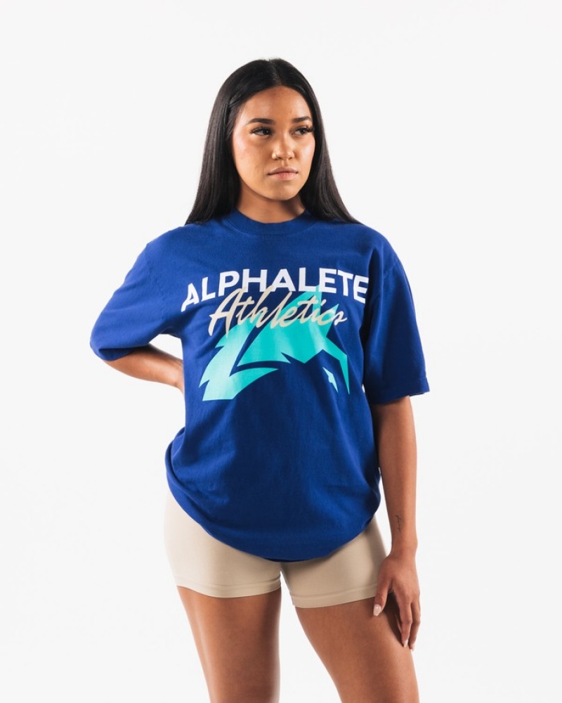 Alphalete AA Beach Overhemd Dames Koningsblauw Blauw | 35BCXSFJZ