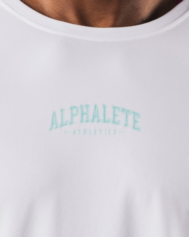 Alphalete AA Paisley Print LS Overhemd Heren Wit | 16LMSGPOD