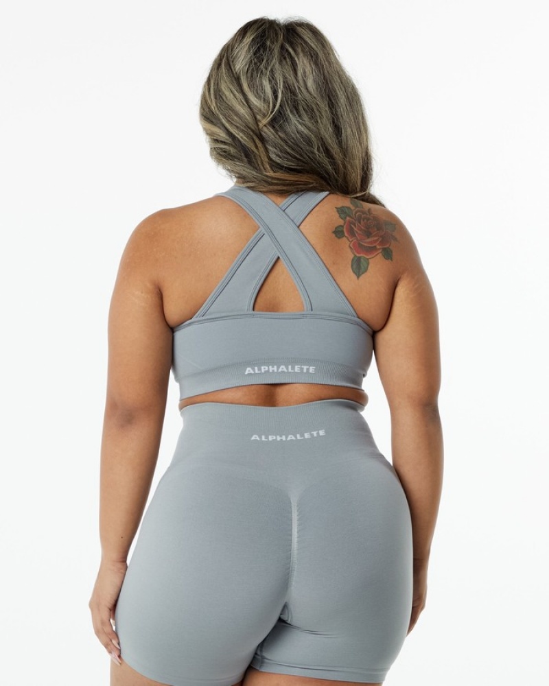 Alphalete Amplify BH Dames Grijs | 74OKHISAF