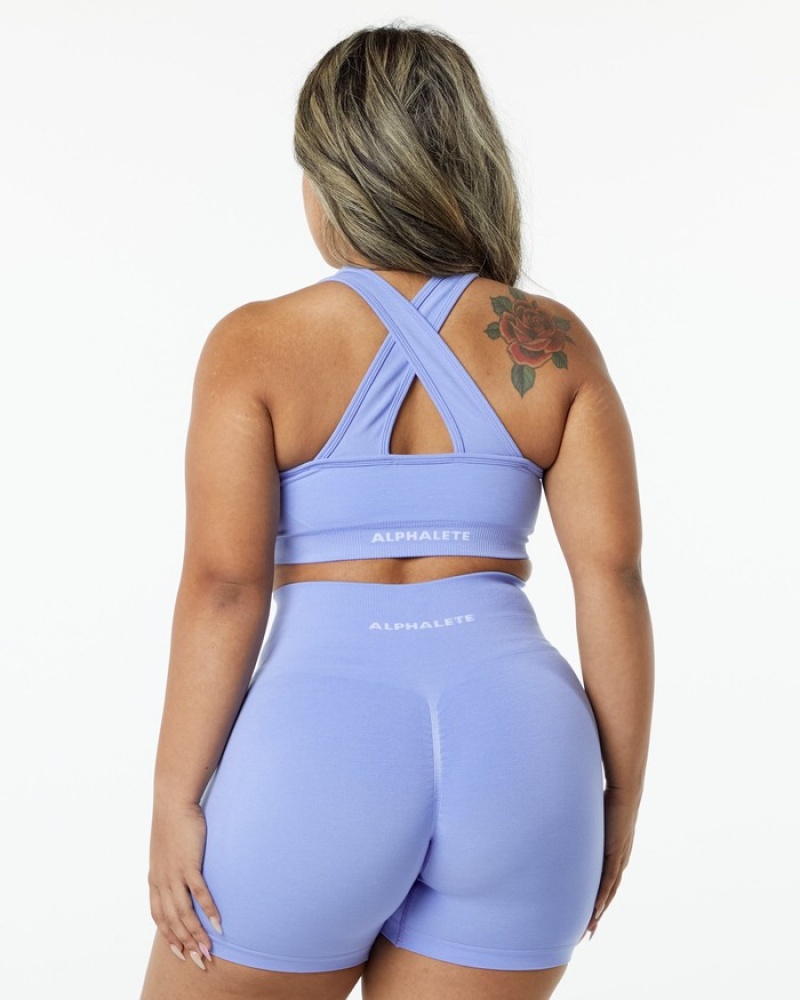 Alphalete Amplify BH Dames Paars | 79FAZUHYI