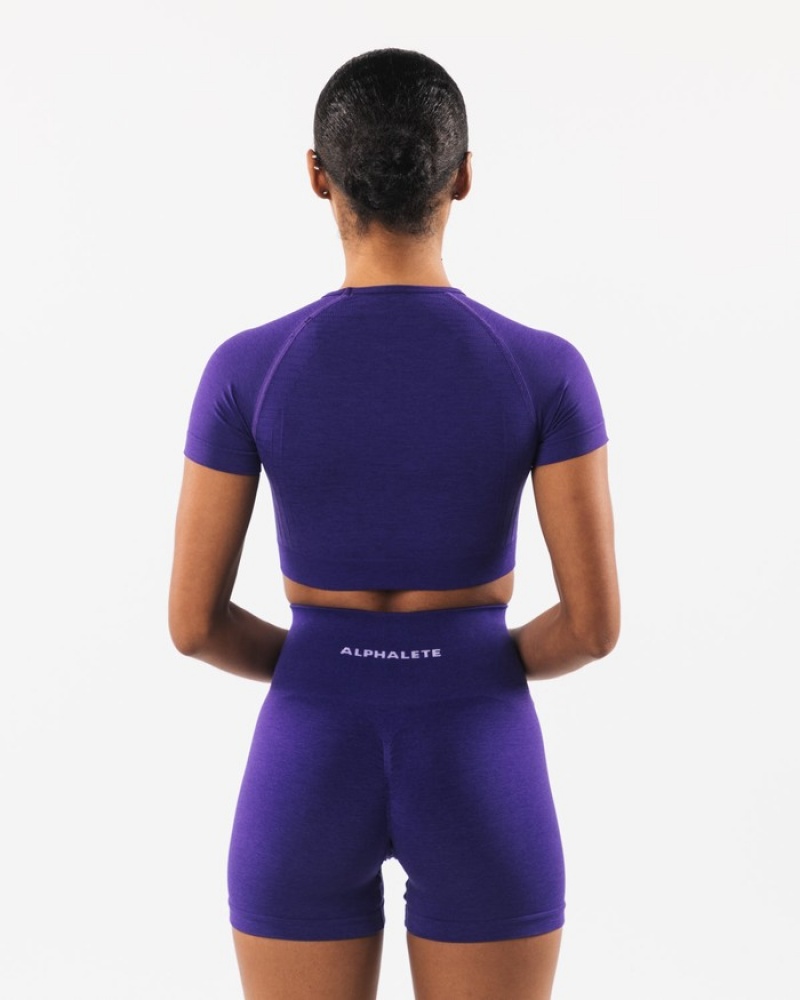 Alphalete Amplify SS Crop Overhemd Dames Paars | 97BJZTYEL