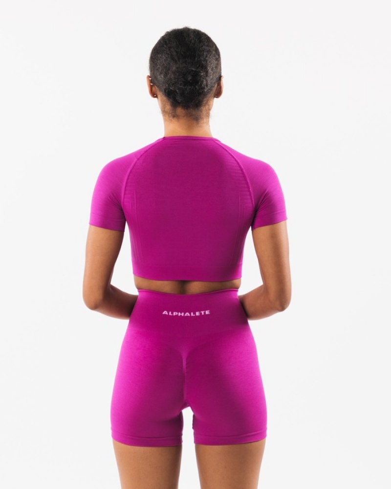 Alphalete Amplify SS Crop Overhemd Dames Roze | 19QXGCIUK