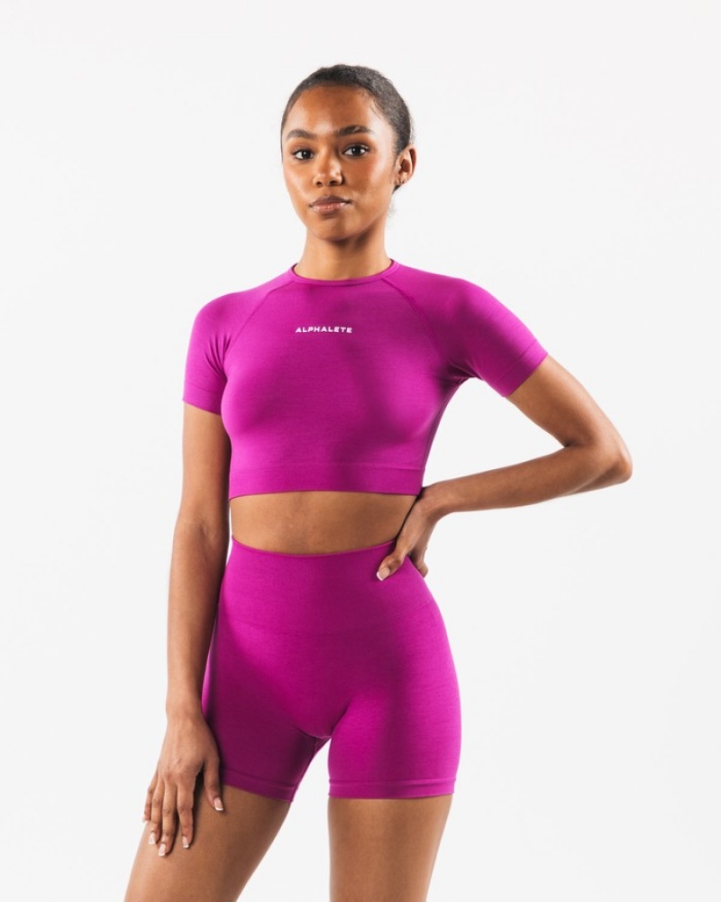 Alphalete Amplify SS Crop Overhemd Dames Roze | 19QXGCIUK