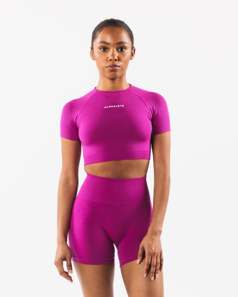 Alphalete Amplify SS Crop Overhemd Dames Roze | 19QXGCIUK