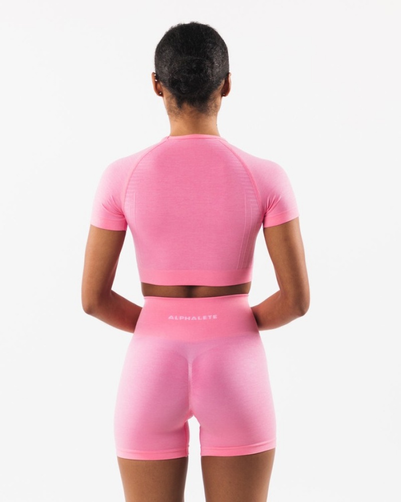 Alphalete Amplify SS Crop Overhemd Dames Roze | 72WXBNKGR