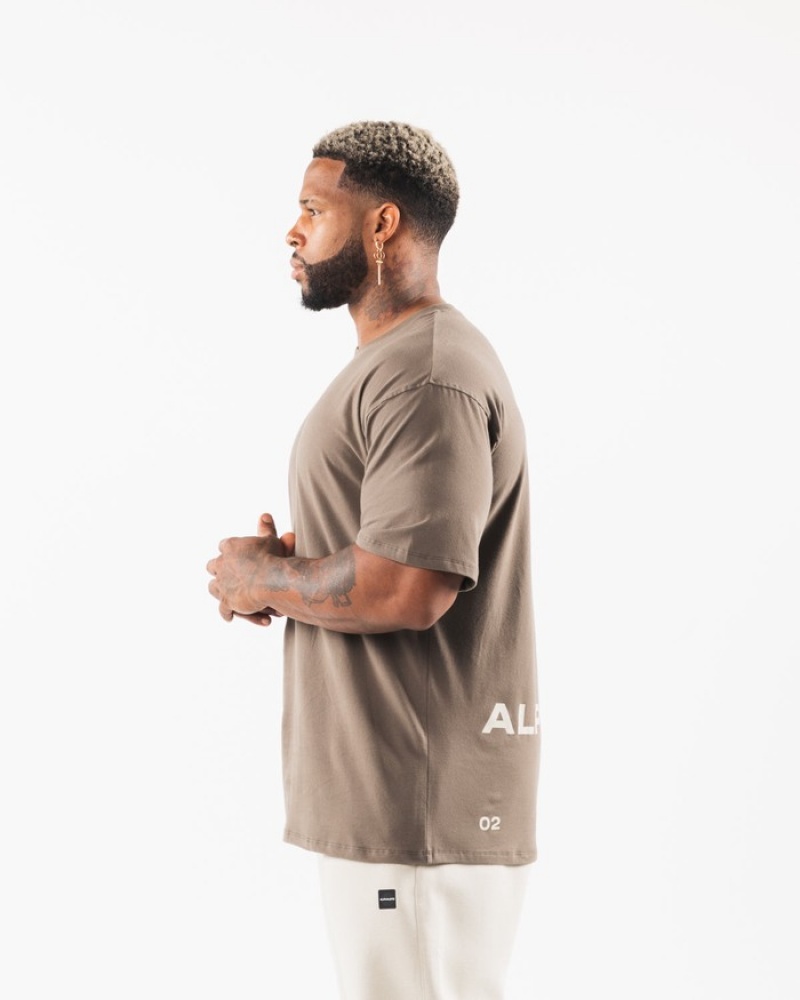 Alphalete Brushed Crest Overhemd Heren Grijs Bruin | 08WTIUPFQ