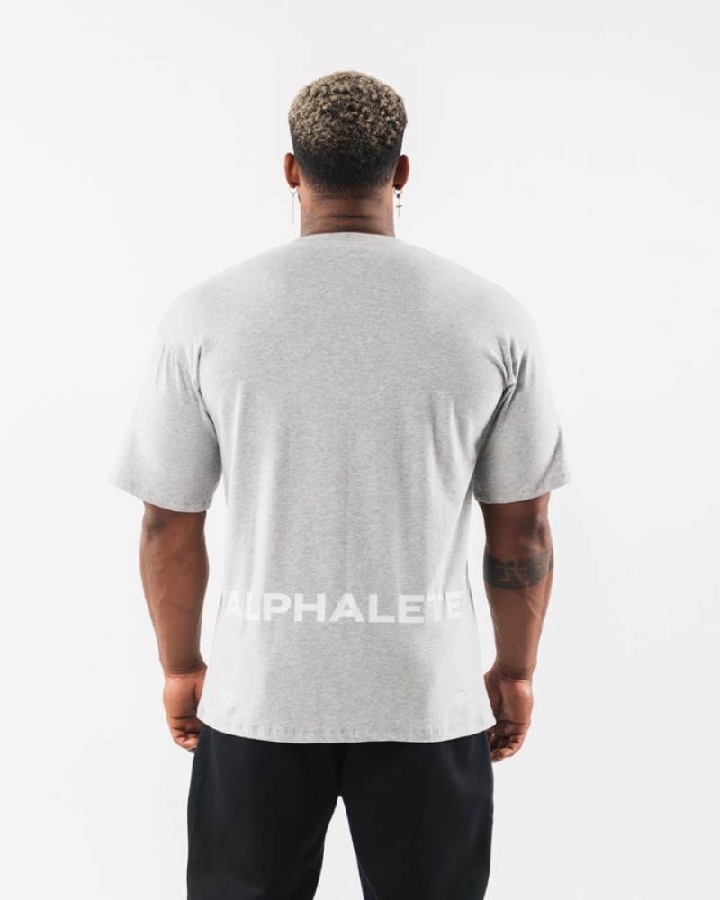 Alphalete Brushed Crest Overhemd Heren Grijs | 46PRSJLTF