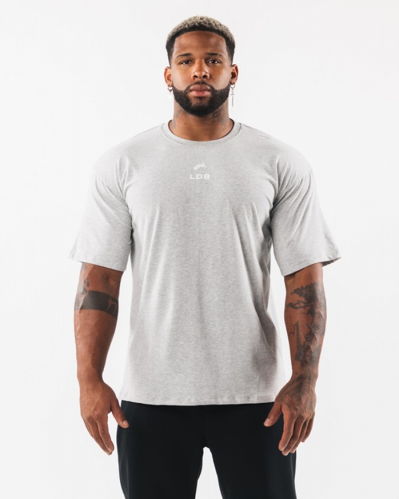 Alphalete Brushed Crest Overhemd Heren Grijs | 46PRSJLTF