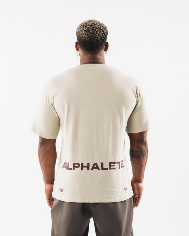 Alphalete Brushed Crest Overhemd Heren Wit | 76QNHJVBC