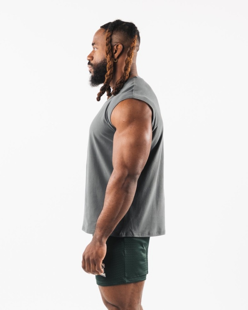 Alphalete Brushed Wolf Head Muscle Tanktop Heren Grijs | 43NHUFGVT