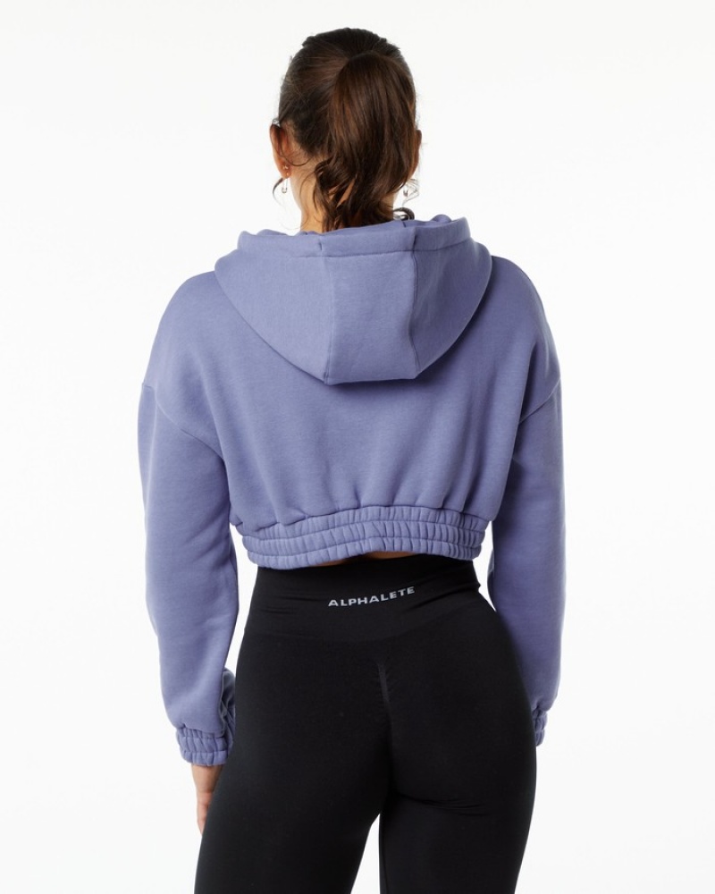 Alphalete Classicital Crop Hoodie Dames Paars | 62QEXRUGO