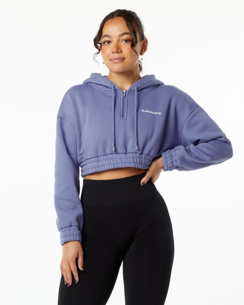 Alphalete Classicital Crop Hoodie Dames Paars | 62QEXRUGO