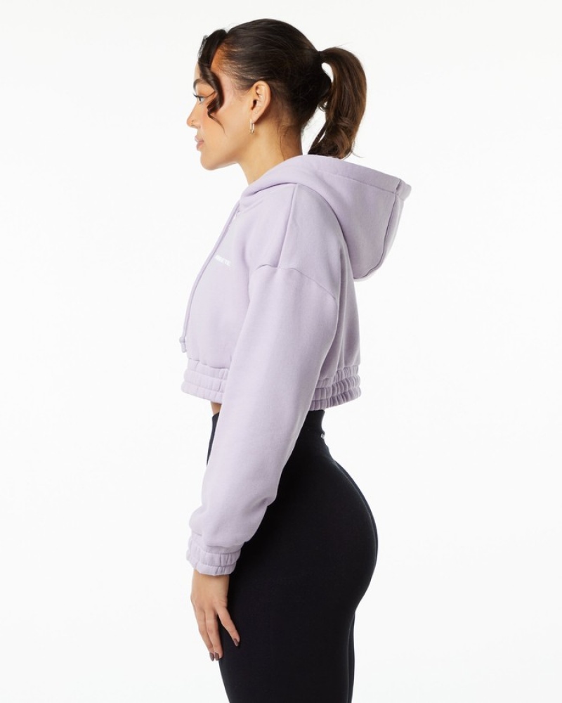 Alphalete Classicital Crop Hoodie Dames Paars | 93EPUHBFO