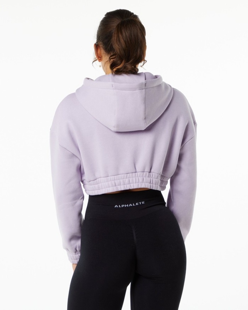 Alphalete Classicital Crop Hoodie Dames Paars | 93EPUHBFO