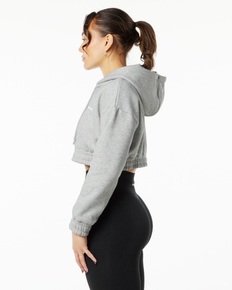 Alphalete Classicital Crop Hoodie Dames Grijs | 38GJTNLEV