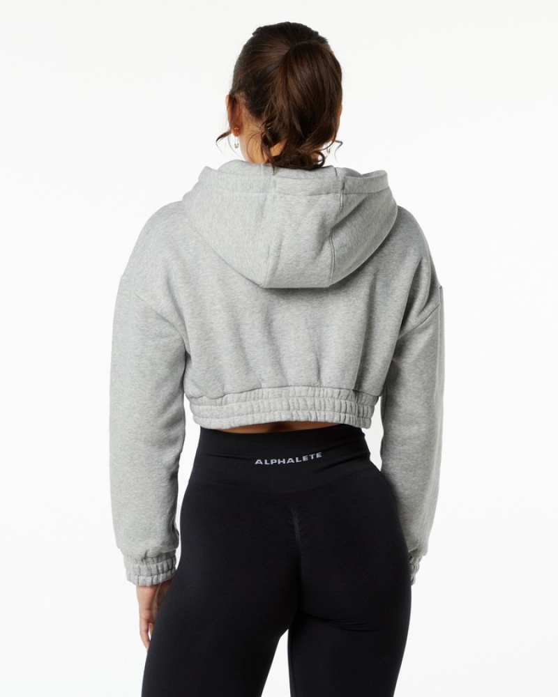 Alphalete Classicital Crop Hoodie Dames Grijs | 38GJTNLEV