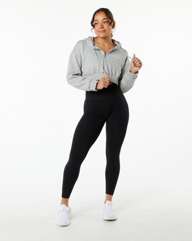 Alphalete Classicital Crop Hoodie Dames Grijs | 38GJTNLEV