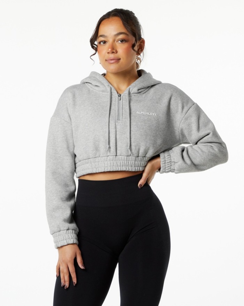 Alphalete Classicital Crop Hoodie Dames Grijs | 38GJTNLEV