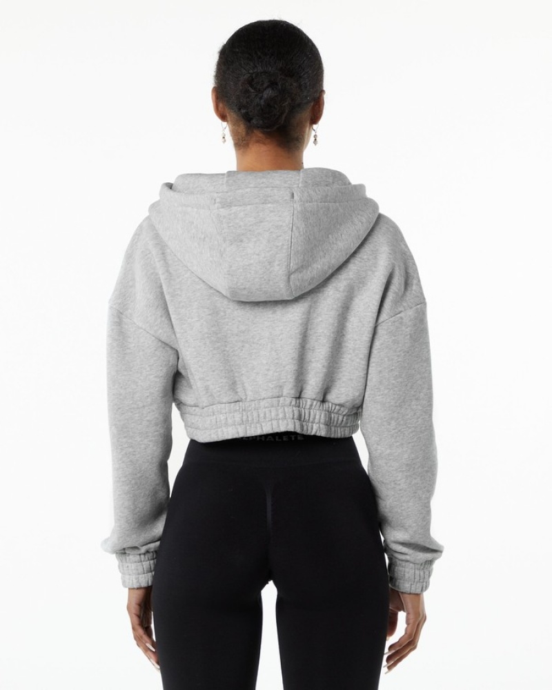 Alphalete Classicital Full-Zip Crop Jassen Dames Grijs | 84BKOFELR