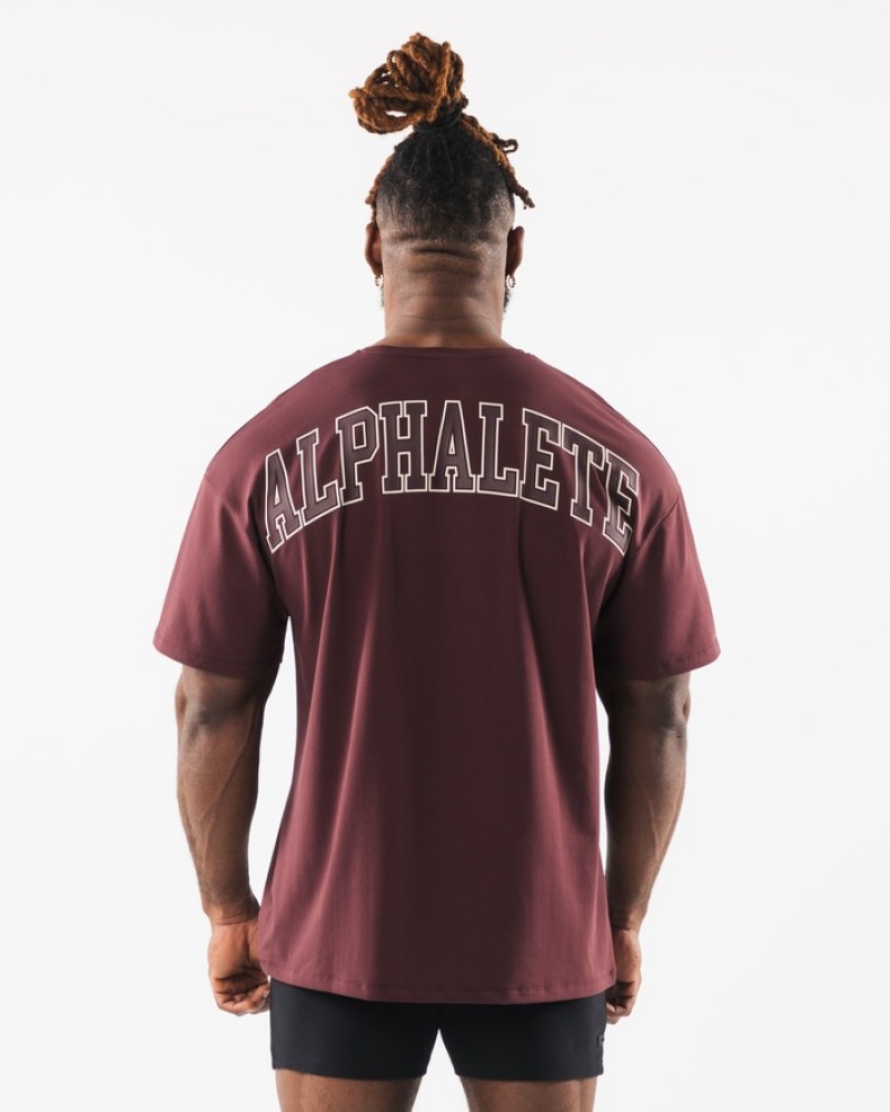 Alphalete Collegiate Overhemd Heren Bordeaux | 38RIQTESG